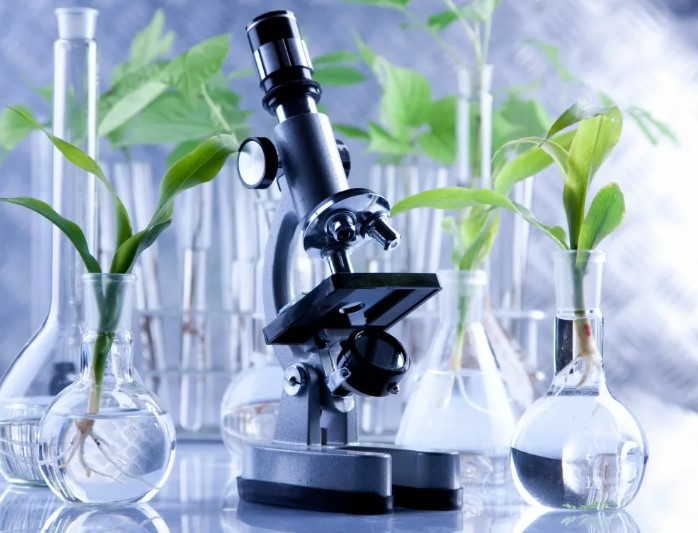 Экологическая лаборатория: Стражи природы в мире современных технологий